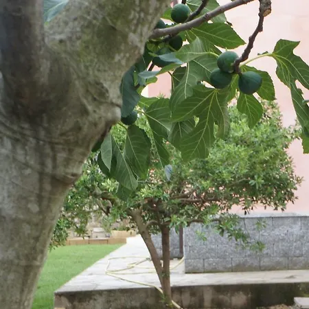 Holiday home Casa Roberto Diano San Pietro